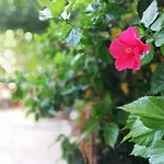 לינה וארוחת בוקר Bella פלרמו