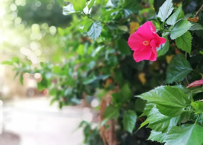 Bed & Breakfast Bella Palermo