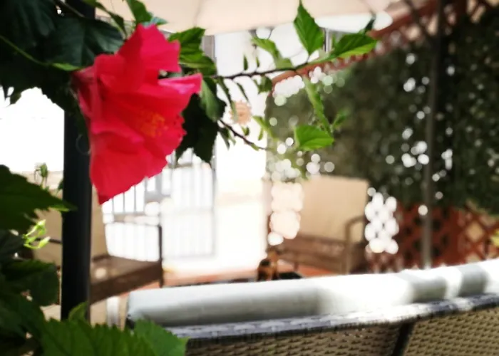 Bella Bed & Breakfast