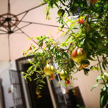 Bella Bed and breakfast Palermo