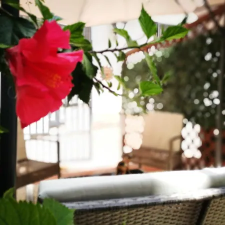 Bella Bed & Breakfast